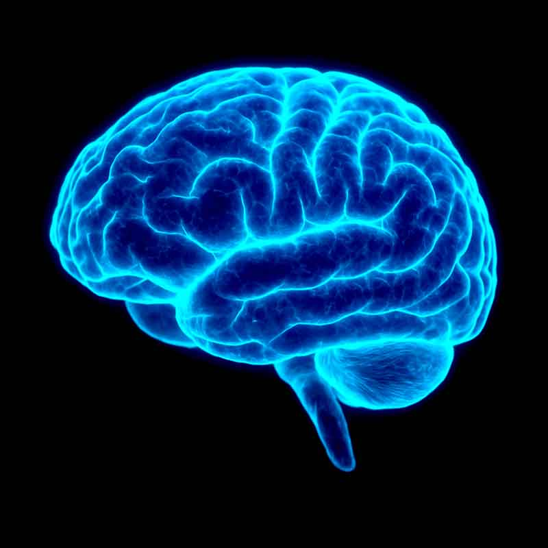 Bioluminescent blue human brain glowing in the dark, symbolizing thought control and mental clarity.