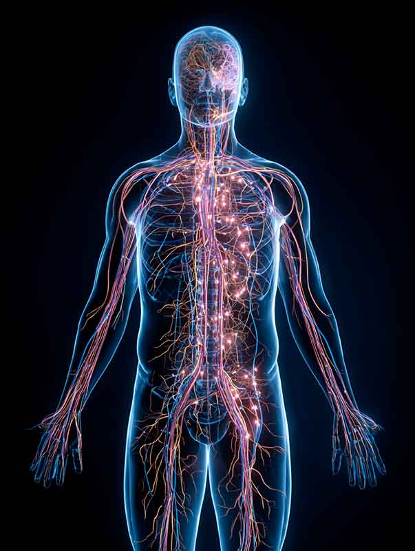 An artistic digital illustration of the human nervous system glowing on a dark background, symbolizing how emotional manipulation affects the body.
